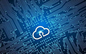 尚普華泰咨詢 軟件與信息技術服務業的成功典范